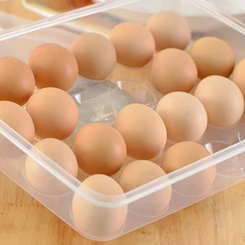 Plastikiniai 24 Tinklus Namų Virtuvės Šaldytuvas Kiaušinių Laikymo Dėžutė Turėtojas Konteinerių Atveju