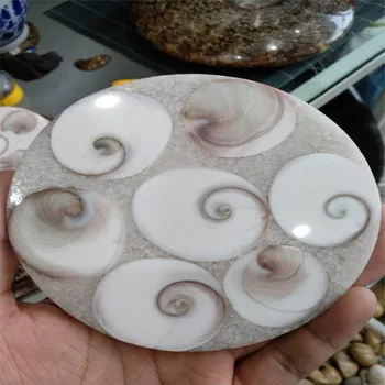 Pusę Sumažinti Ammonite SeaShell Juros Periodo Iškastinio Disko White Shell Madagaskaras